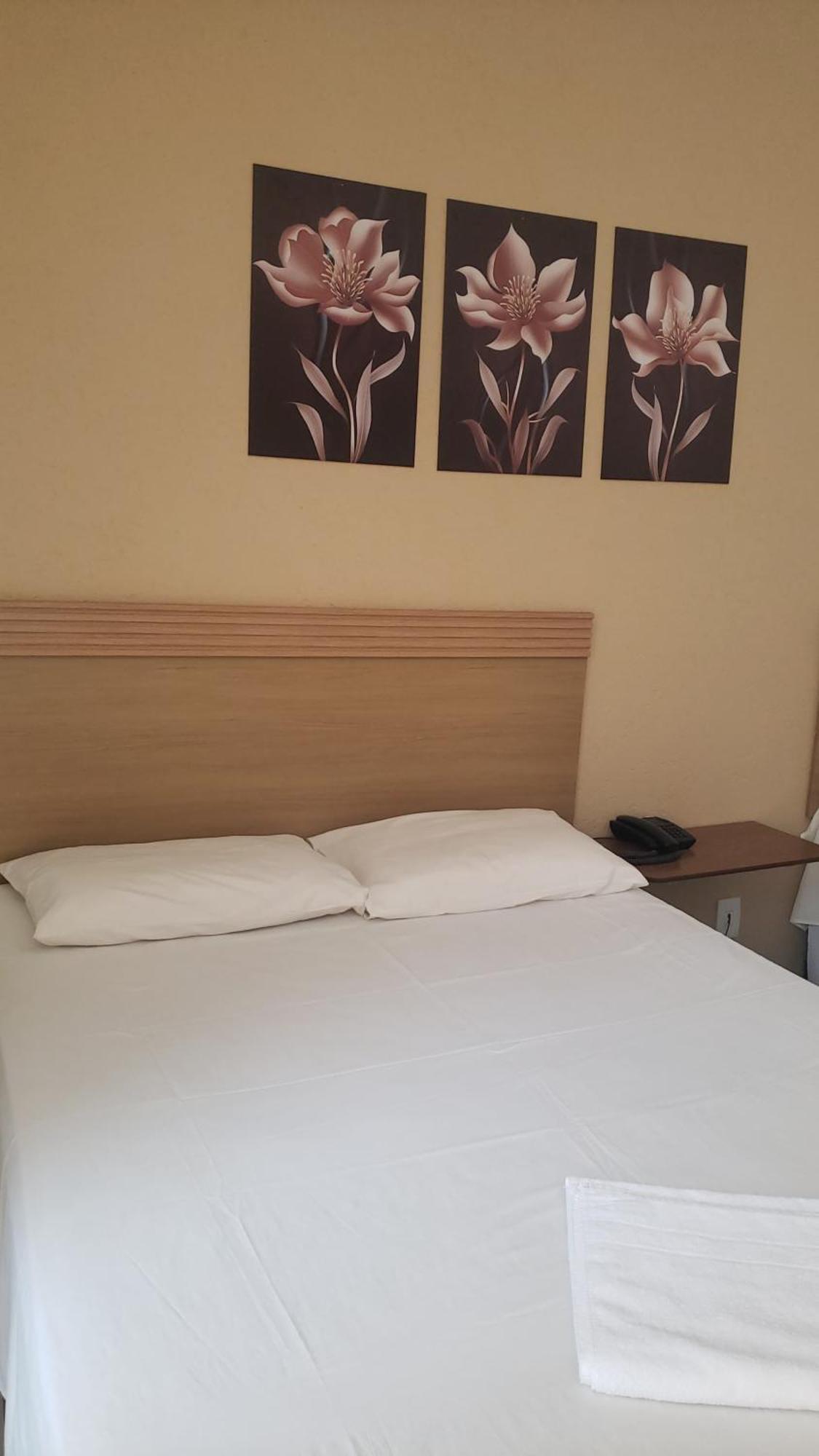 Hotel Flamboia Araraquara Exteriér fotografie