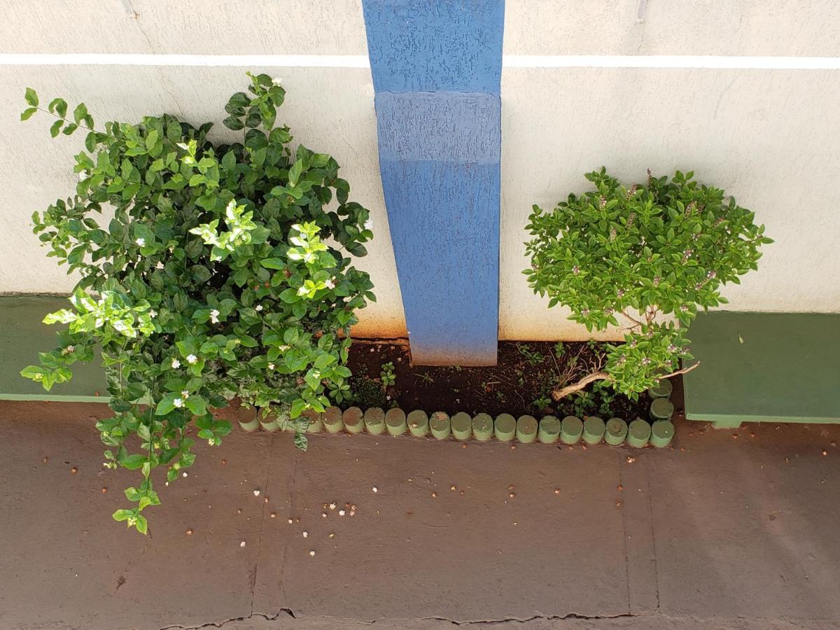 Hotel Flamboia Araraquara Exteriér fotografie